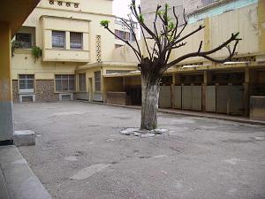ORAN ECOLE BERTHELOT LA COUR DE RECRE